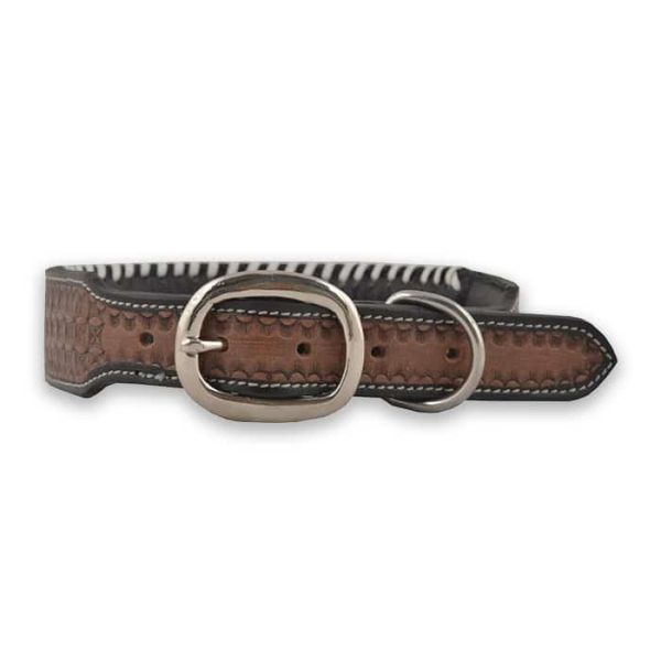 Daisy white buckstitch dog collar - Image 2