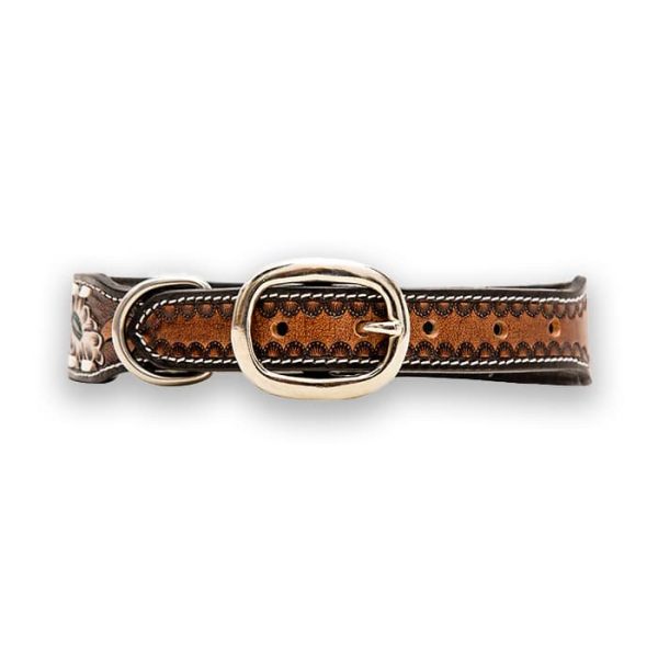 Floral Hand-Tooled painted Leather Dog Collar - Image 3
