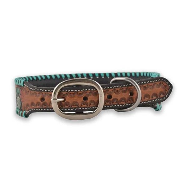 Floral turquoise buckstitch dog collar - Image 5